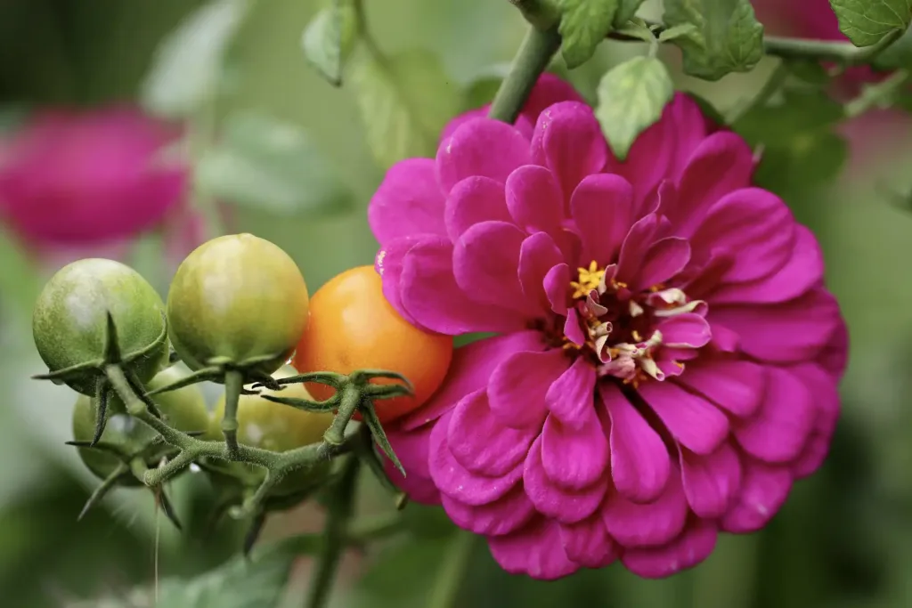 Companion Planting: The Top 5 Ways and Why You Need Them