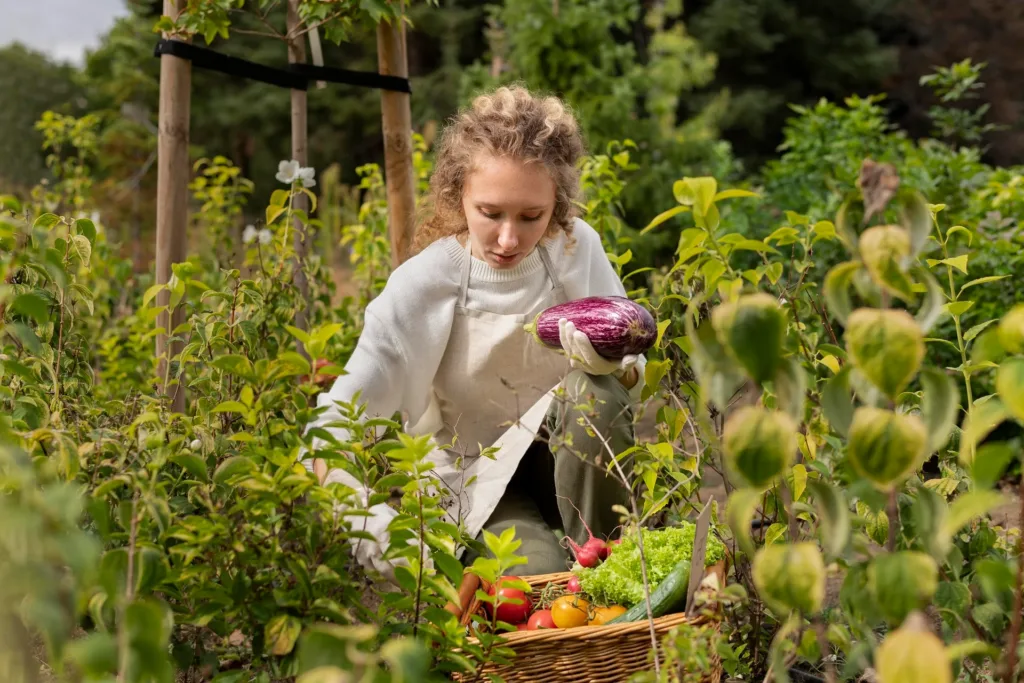Top 5 Tips for Successful Edible Gardening