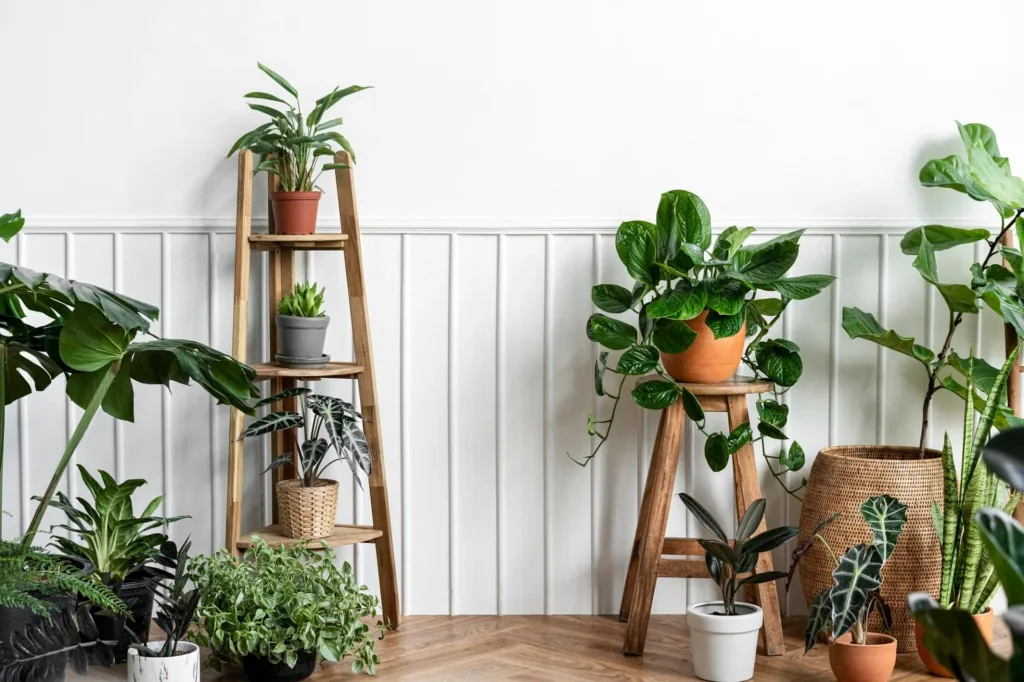 Top 8 Gardening Tips to Elevate Your Indoor Space