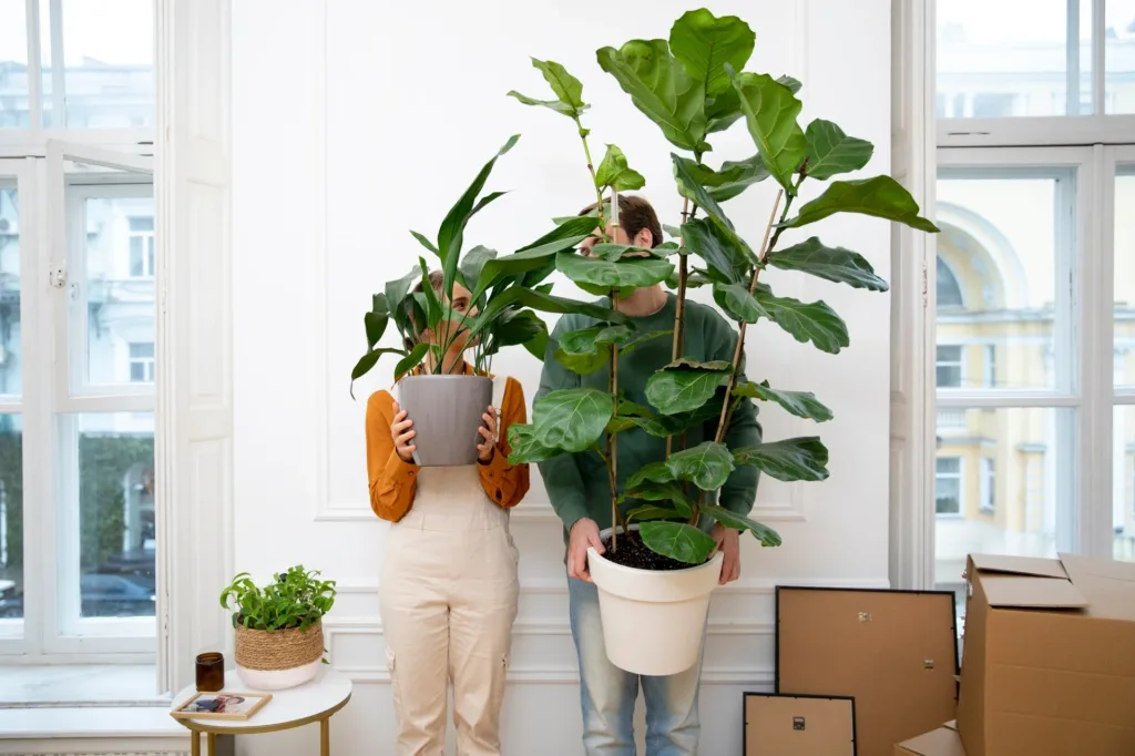 Top 10 Low-Maintenance Indoor Plants That Can Survive Anywhere