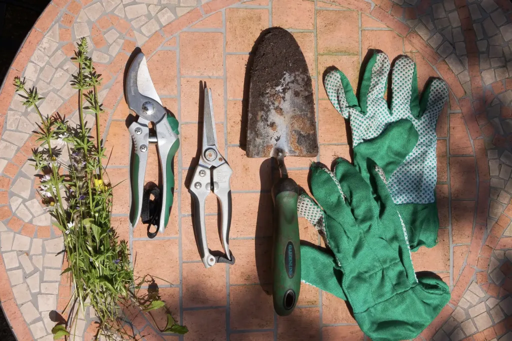 5 Essential Gardening Equipment Tools for Florals