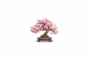 ECO BONSAI FLOWER