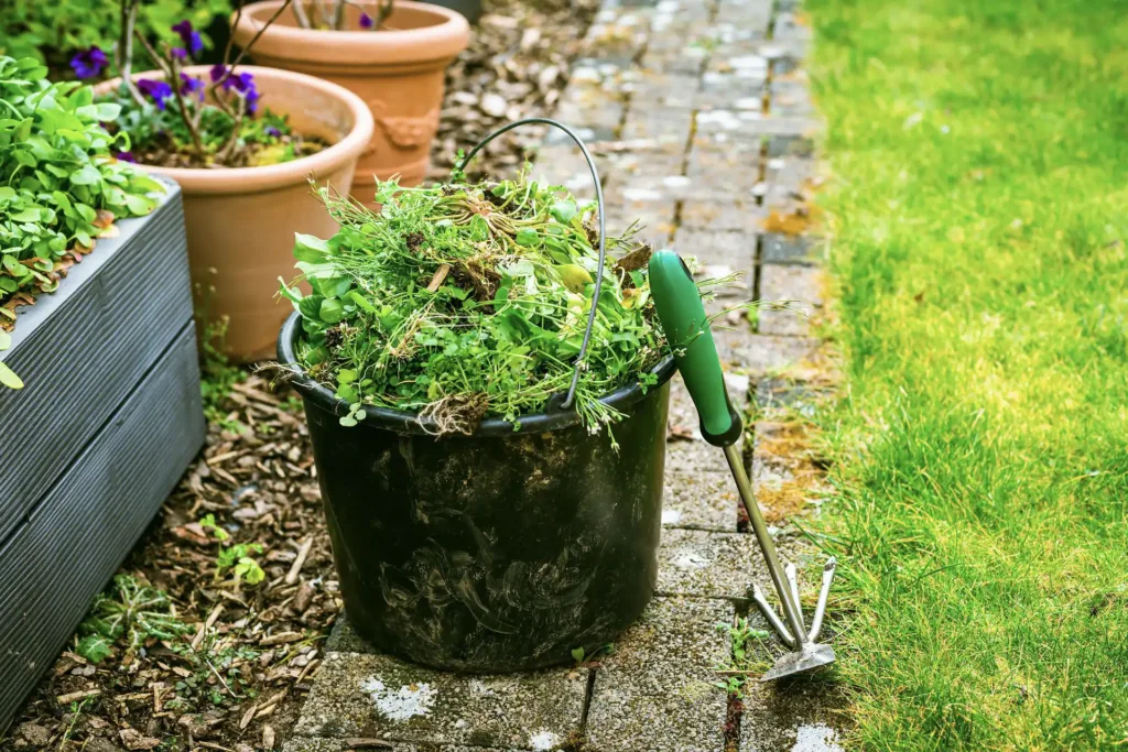 Top 8 Natural Ways to Get Rid of Weeds in Gardens
