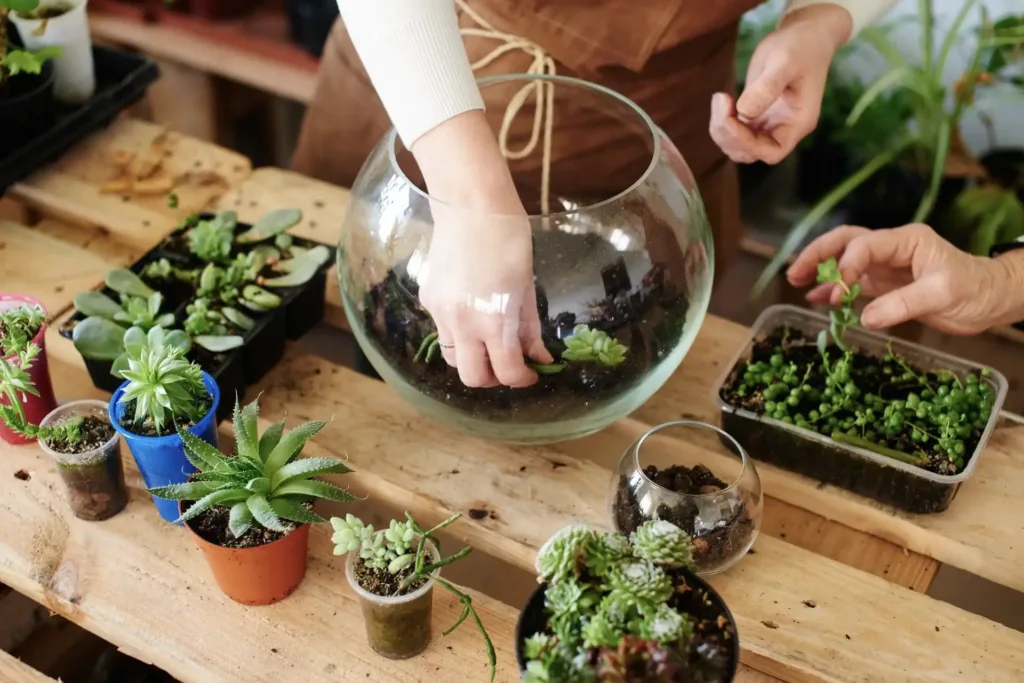 DIY Holiday Terrariums: Miniature Gardens for Maximum Cheer