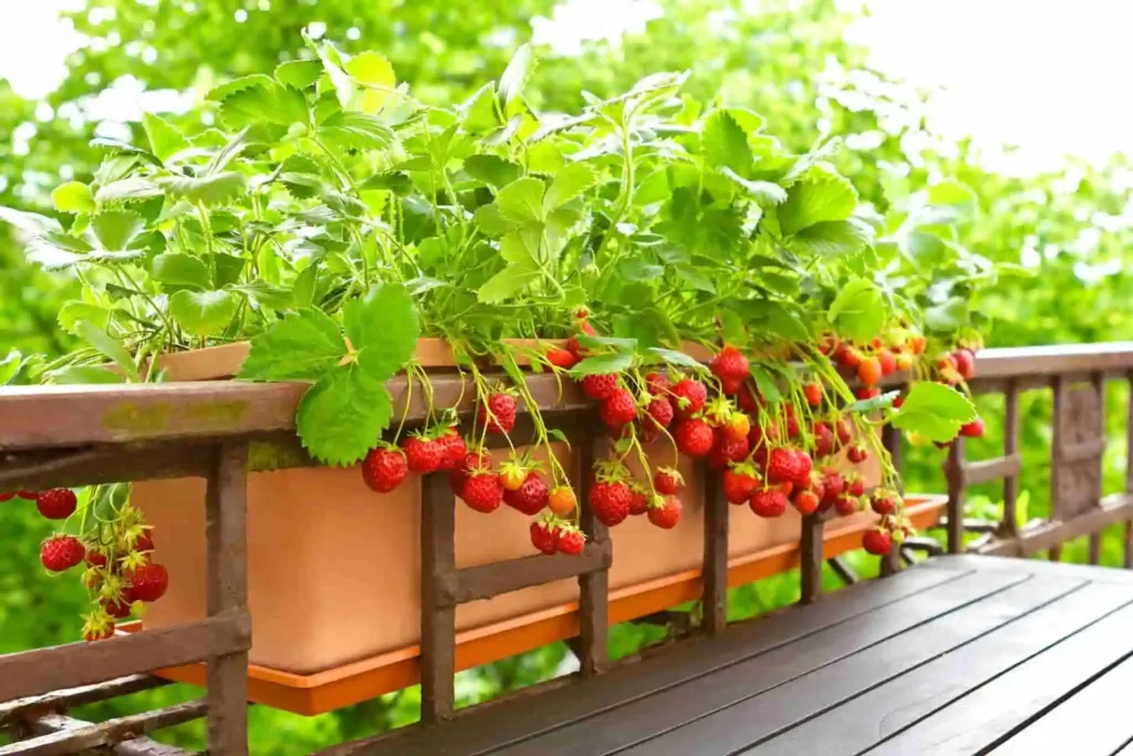 Top 8 Edible Landscaping Plants for Your Backyard