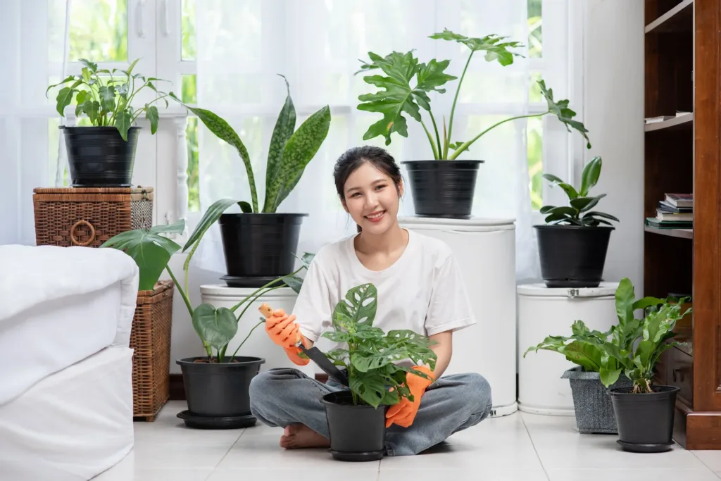 Top 8 Winter Care Tips for Your Indoor Garden