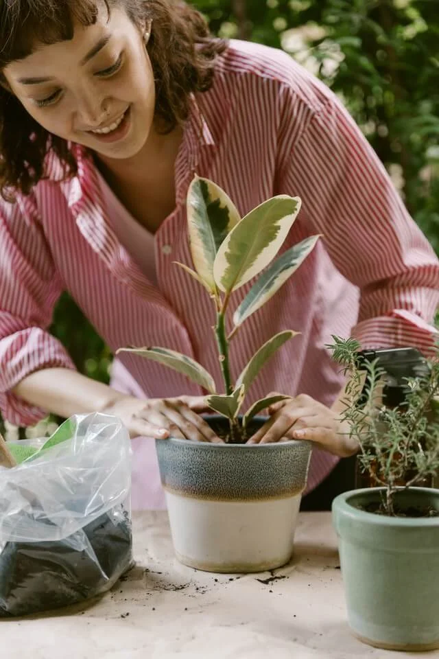 woman planting plant in pot