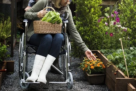 Echo Disabled Gardening Main