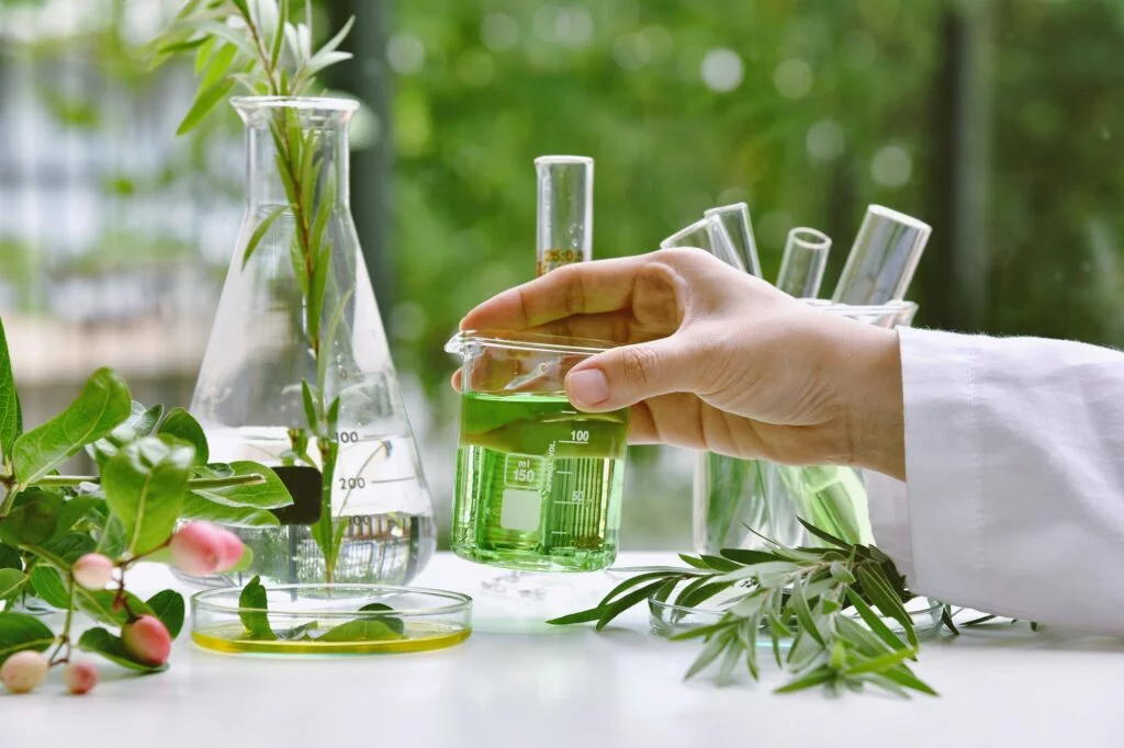 Best organic treatments for Indoor Plants