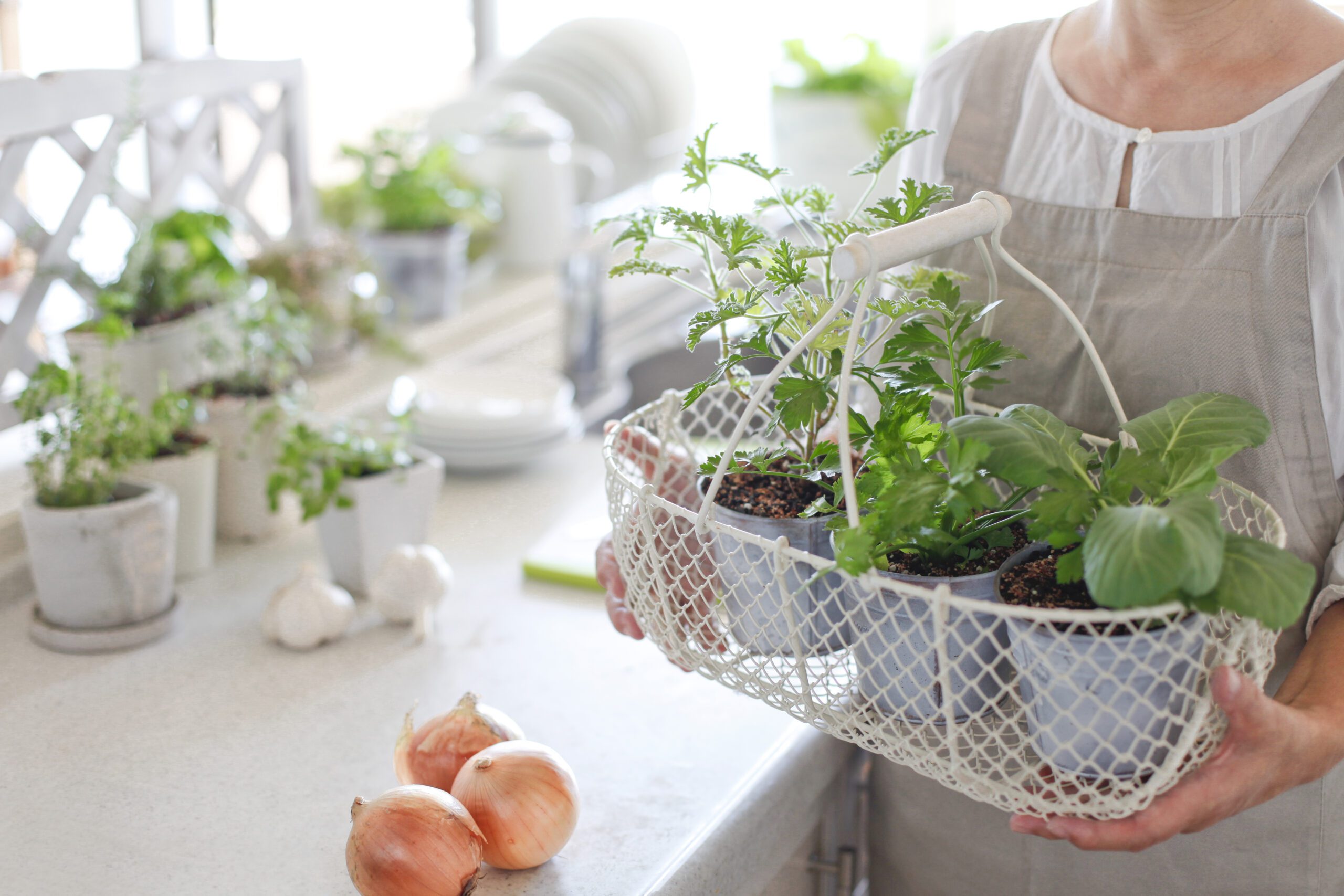 Catsher Is an Indoor Herb Garden Worth It scaled