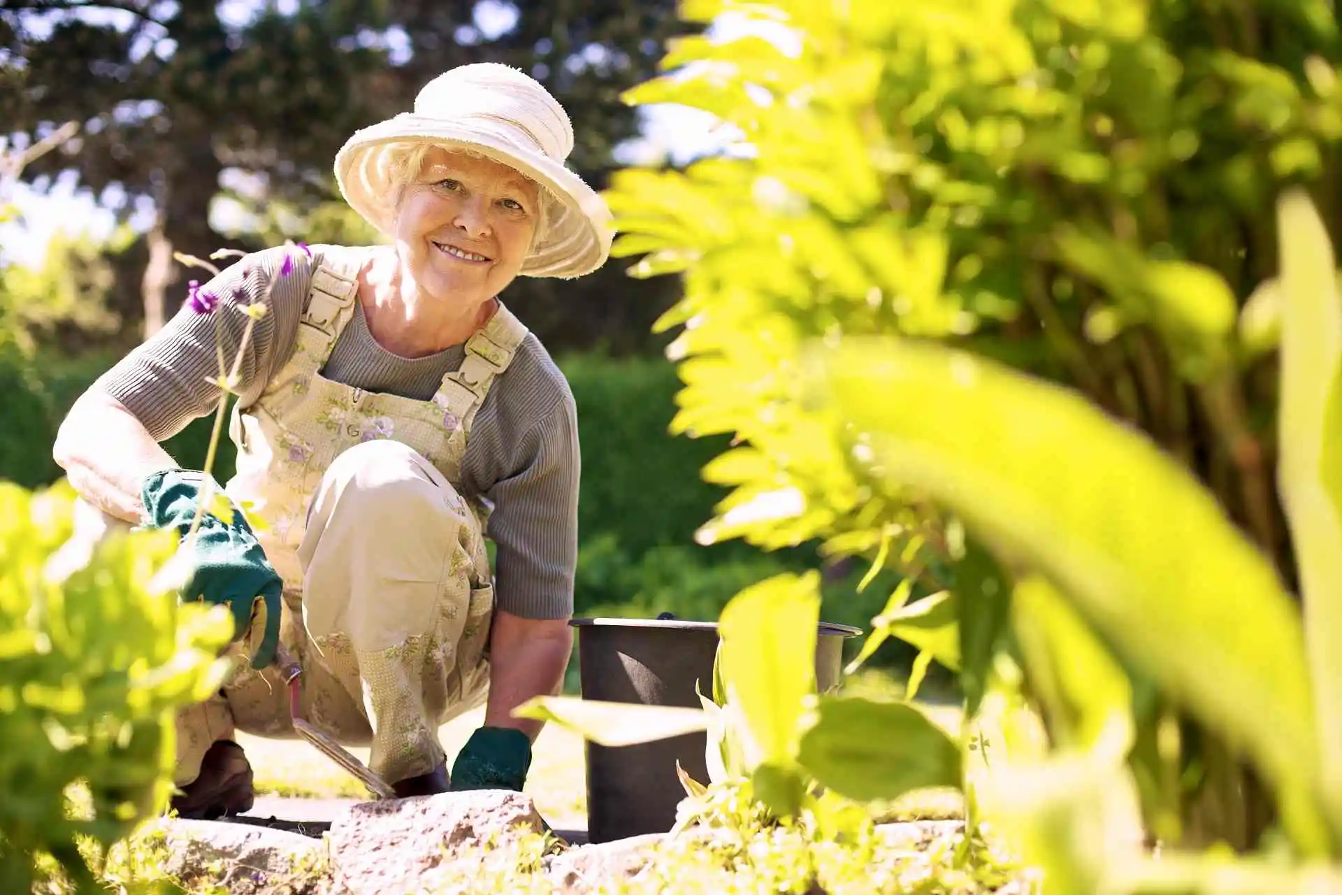 Eco Safe Gardening Tips for Seniors Keep Growing Joy Effortlessly
