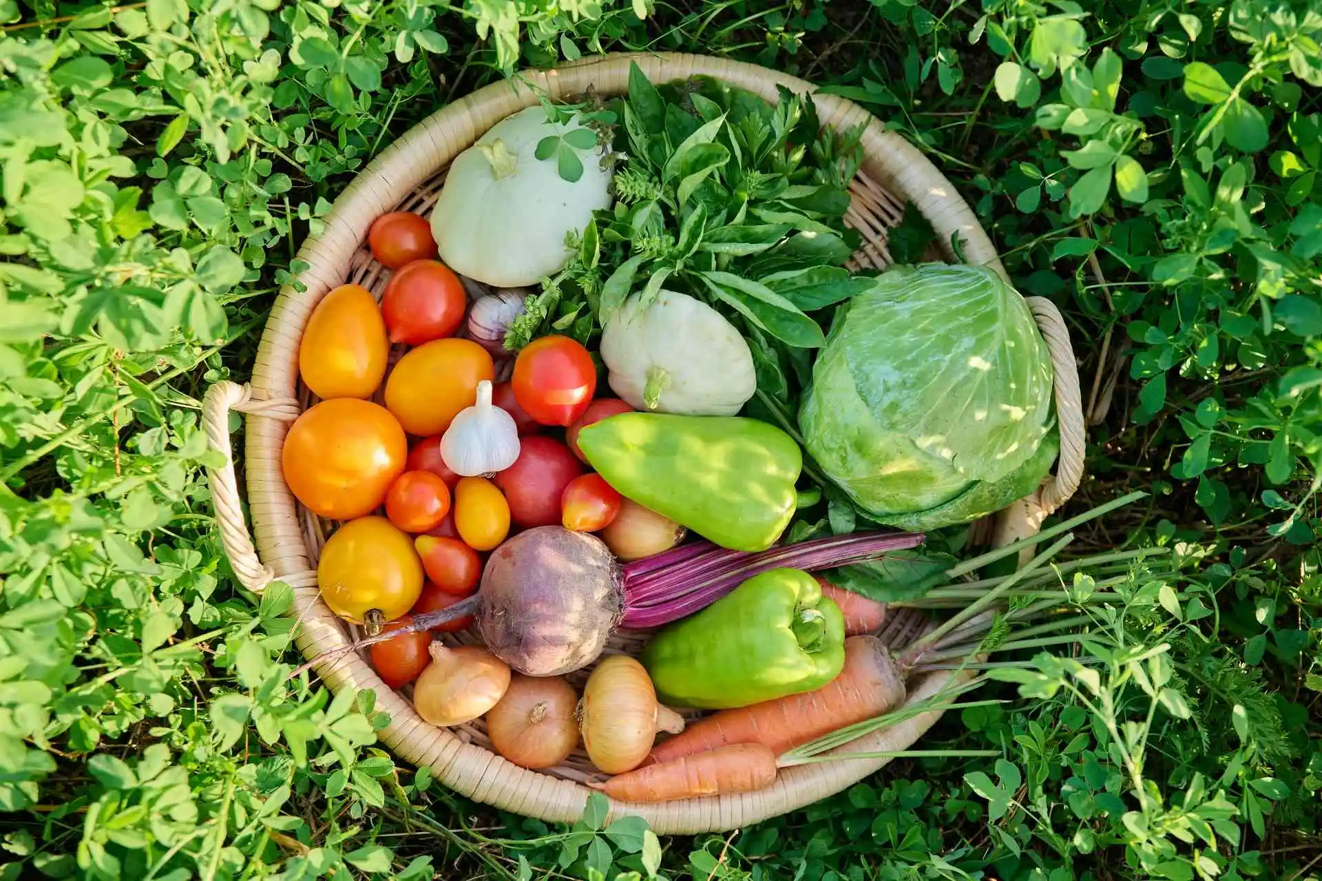 vegetables to start indoors in April