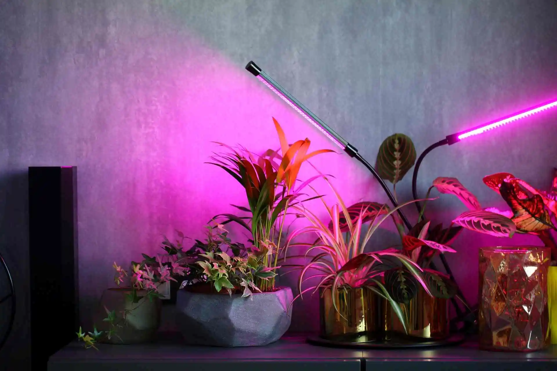 best indoor grow lights