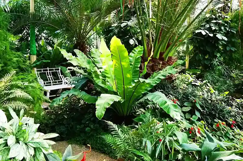 Eco Small Space Indoor Gardens 11zon