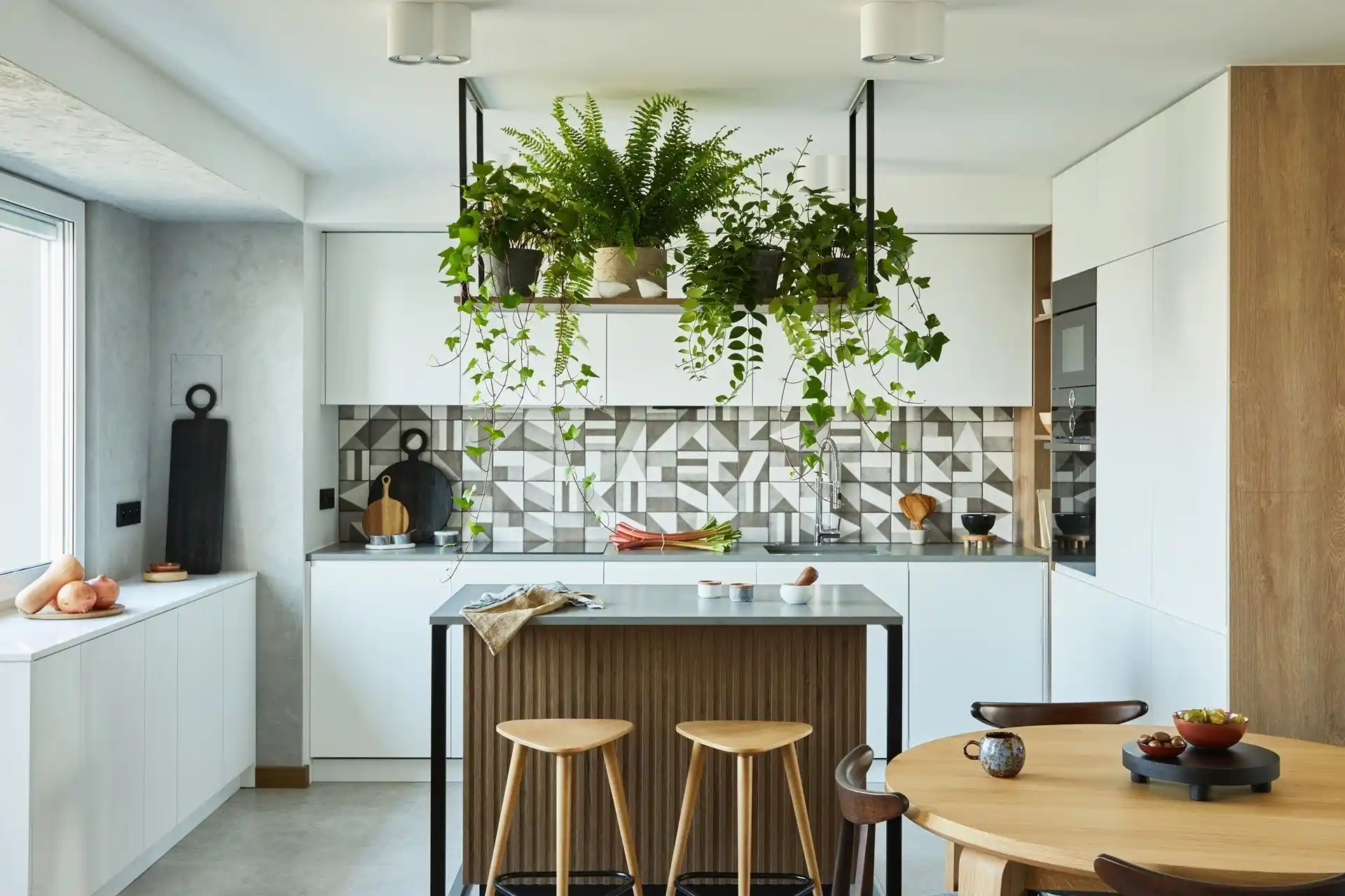 Houseplants That Will Thrive in Your Kitchen